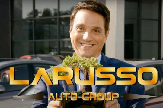 Larusso Auto Group Dealership Decal
